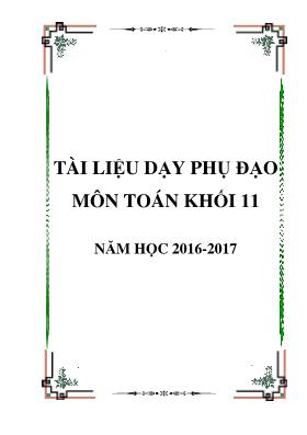 Tài liệu dạy phụ đạo môn Toán khối 11